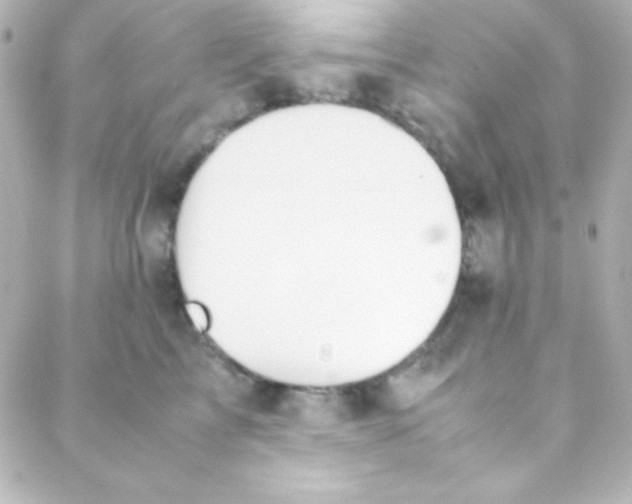 X0000088150713200705291423