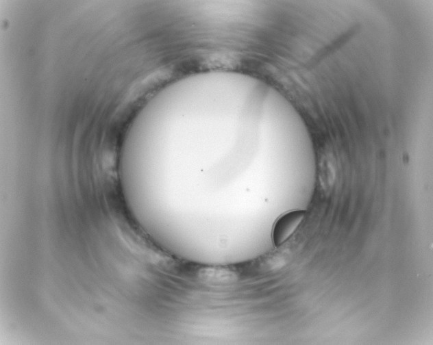 X0000088150714200705291423