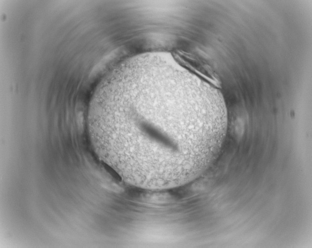 X0000088150716200705291423