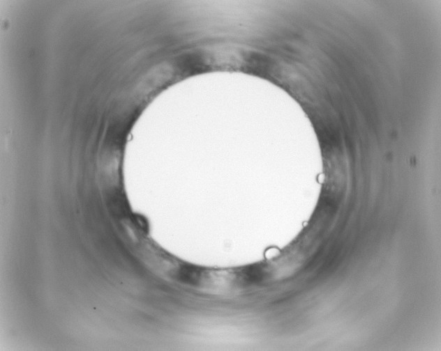 X0000088150717200705291423