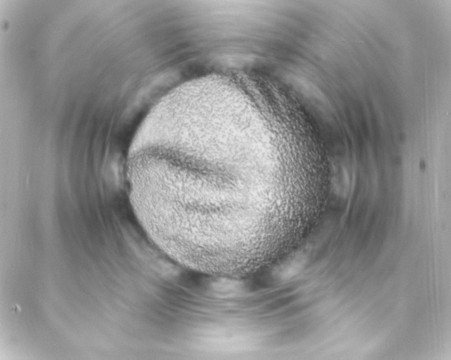 X0000088150718200705291423