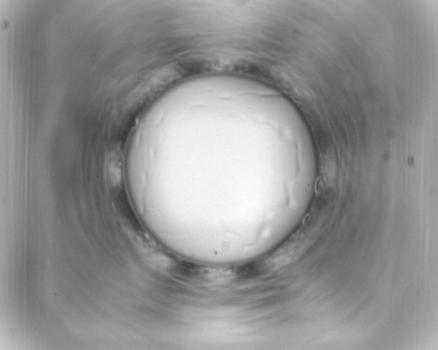 X0000088150719200705291423