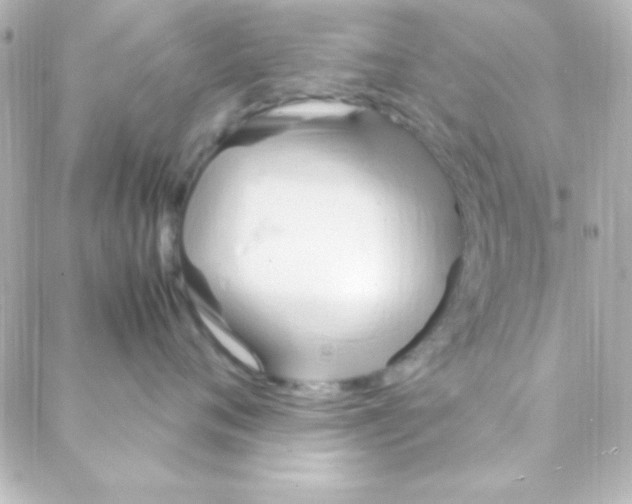 X0000088150720200705291422