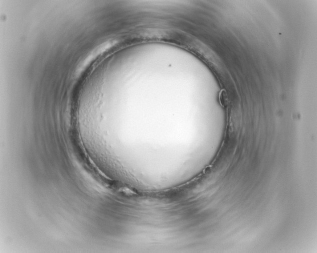 X0000088150722200705291422