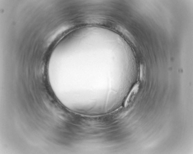 X0000088150723200705291422