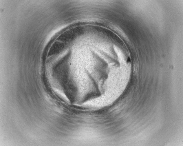 X0000088150724200705291422