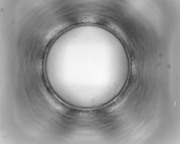 X0000088150725200705291422