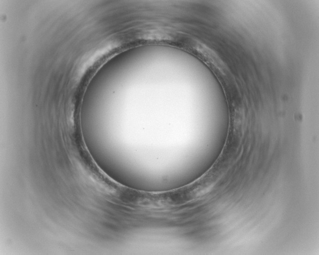 X0000088150727200705291422