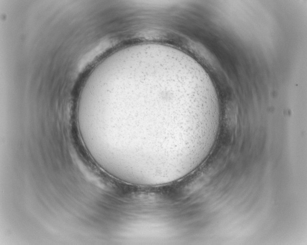 X0000088150730200705291422