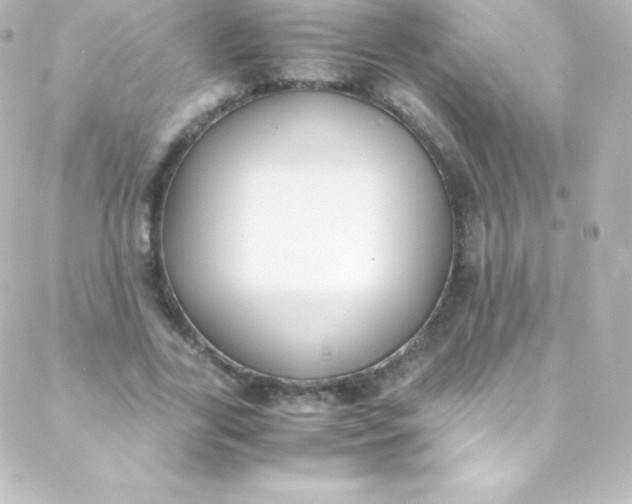 X0000088150731200705291422