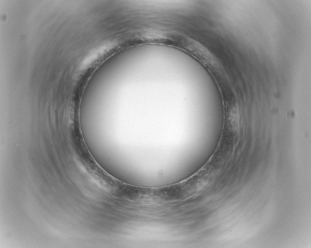 X0000088150732200705291422