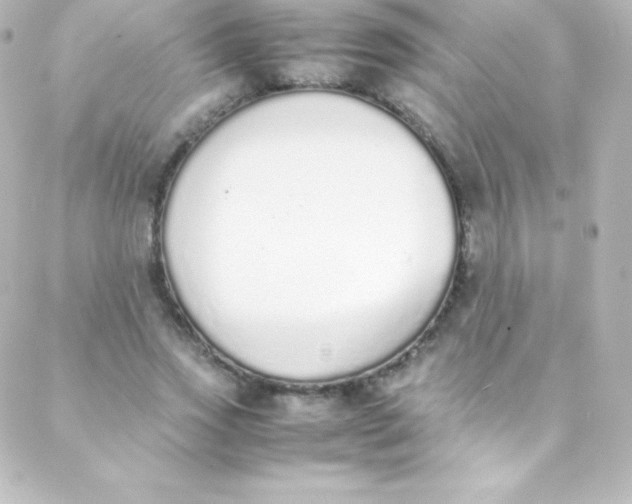 X0000088150733200705291422