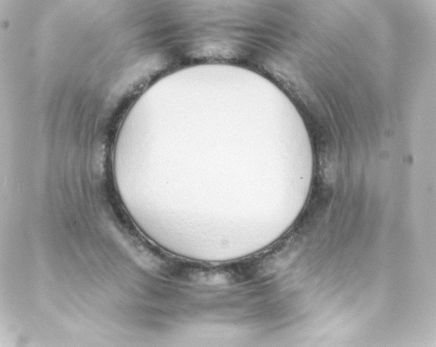 X0000088150735200705291422