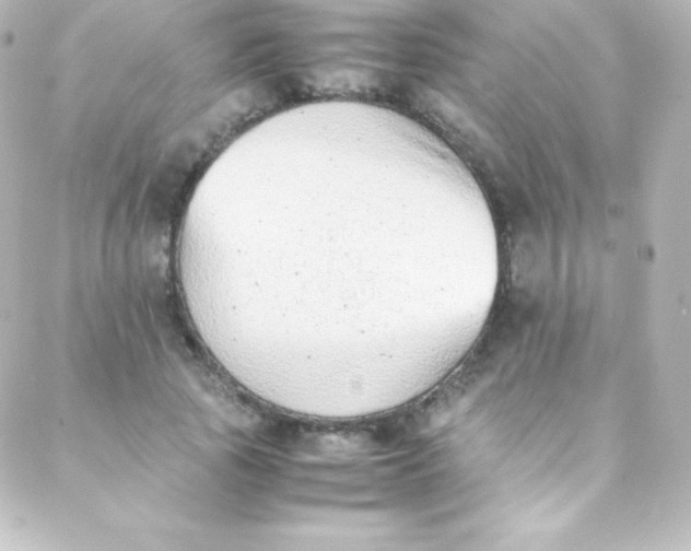 X0000088150737200705291422