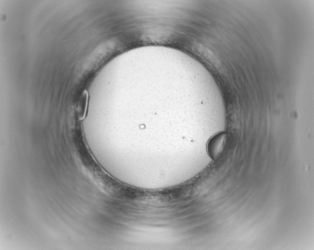 X0000088150738200705291422