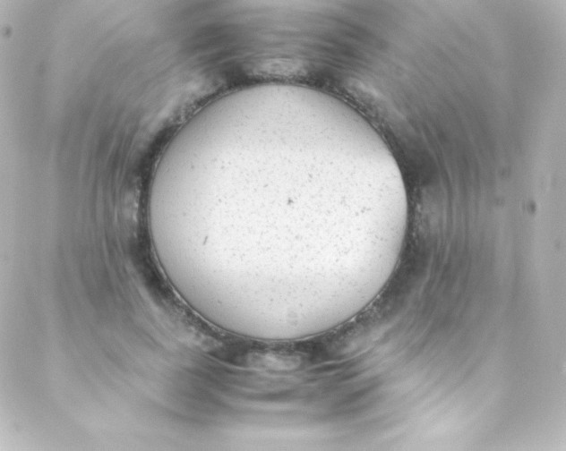 X0000088150739200705291422