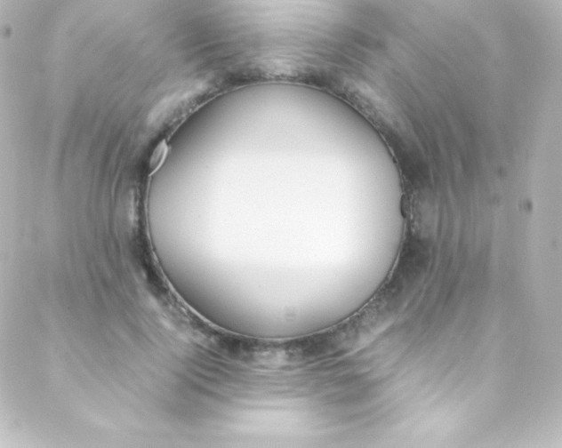 X0000088150740200705291422