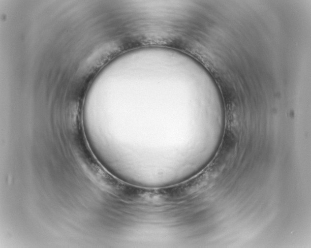 X0000088150742200705291422