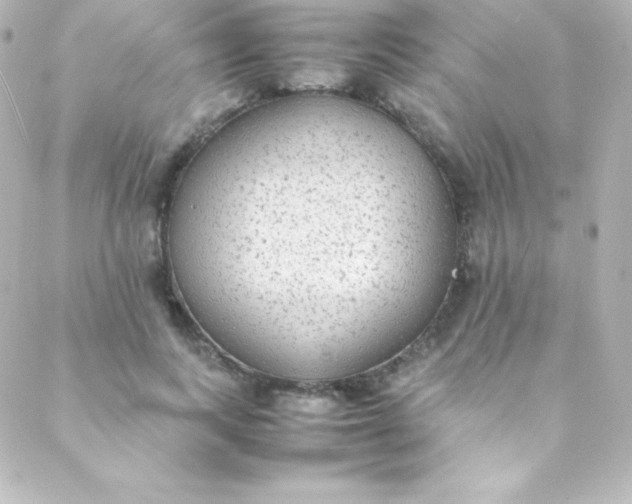 X0000088150743200705291422