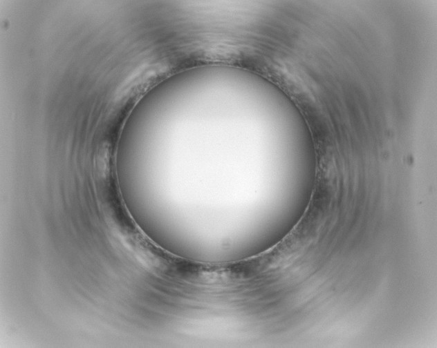 X0000088150744200705291422