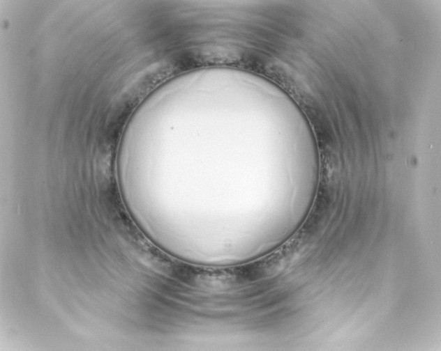 X0000088150745200705291422