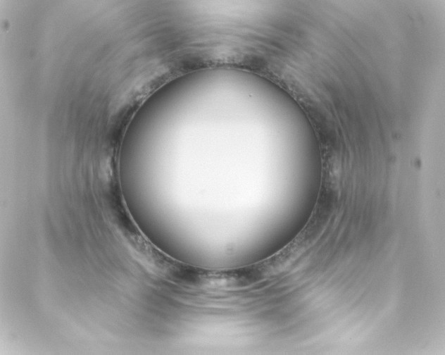 X0000088150746200705291422