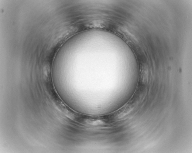 X0000088150747200705291422