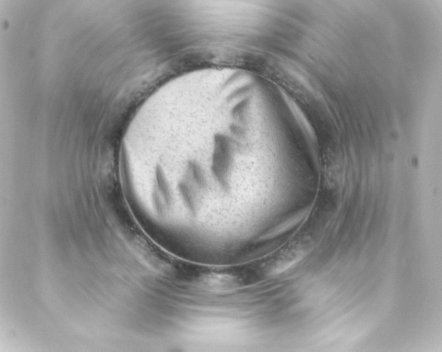 X0000088150748200705291422