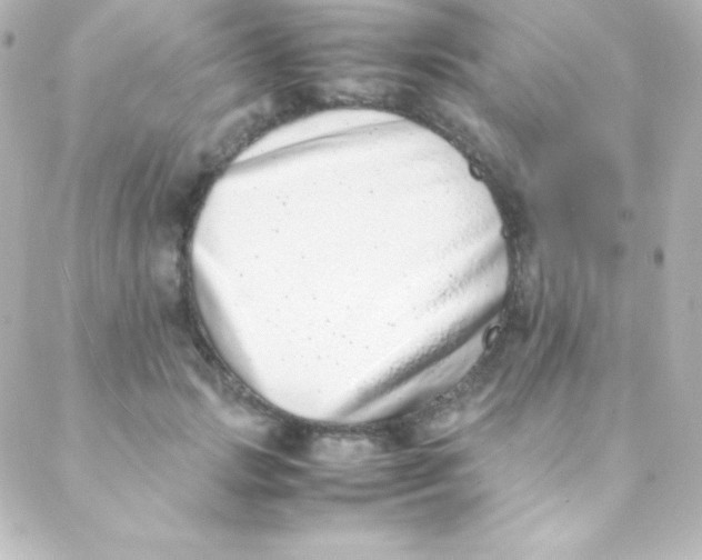 X0000088150749200705291422