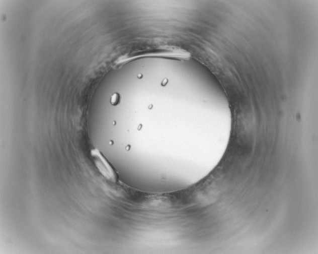 X0000088150750200705291422