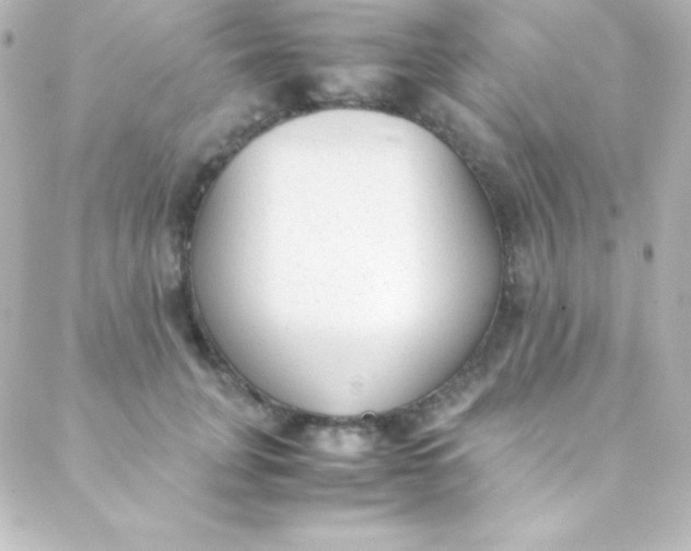 X0000088150751200705291422