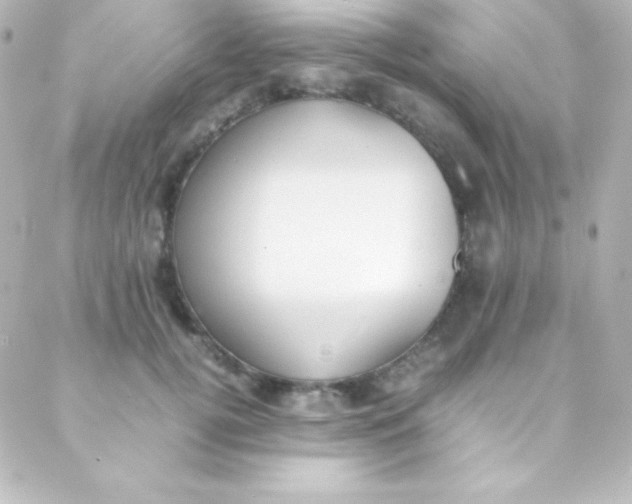 X0000088150752200705291422