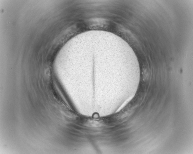 X0000088150753200705291422