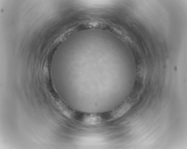 X0000088150754200705291422