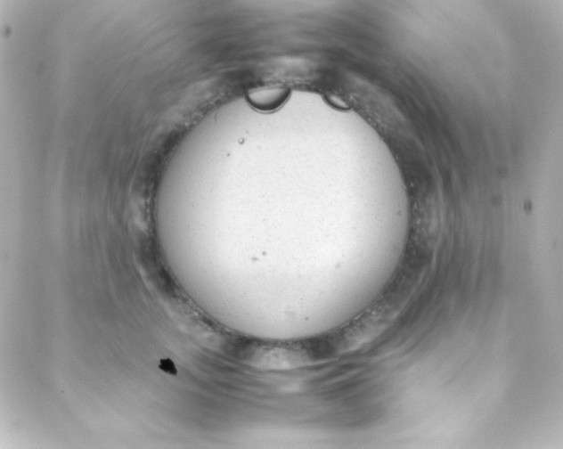 X0000088150755200705291422