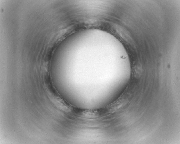 X0000088150756200705291422