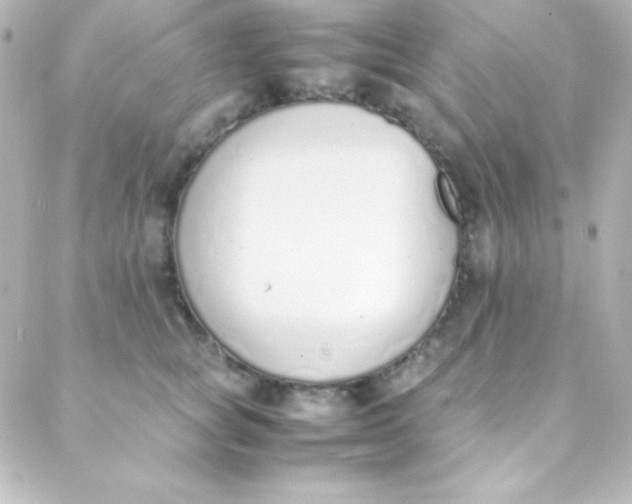 X0000088150757200705291422