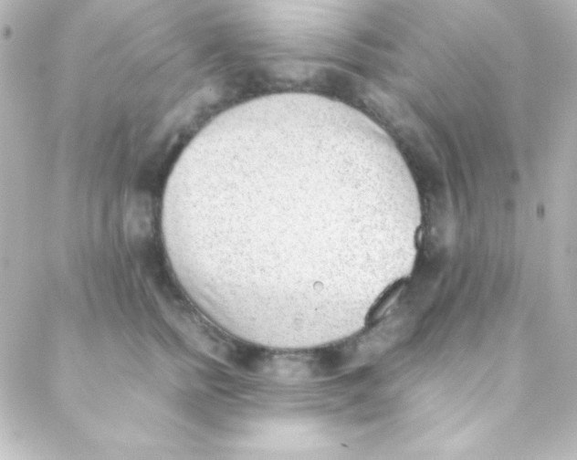 X0000088150758200705291422