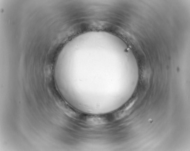 X0000088150759200705291422