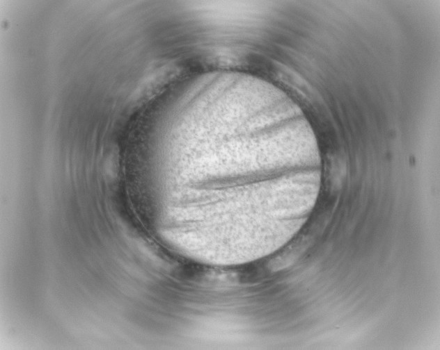 X0000088150760200705291422