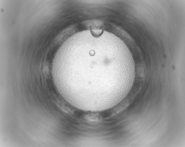 X0000088150761200705291422