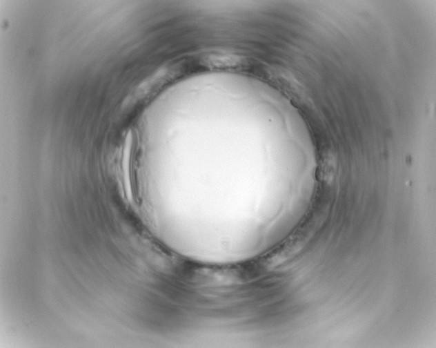 X0000088150763200705291422