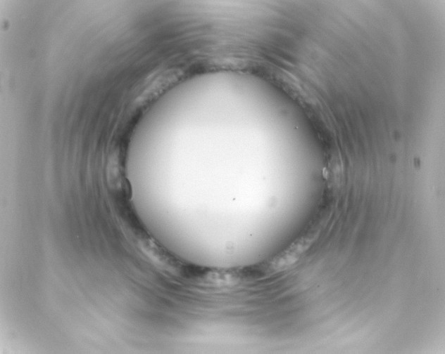 X0000088150764200705291422