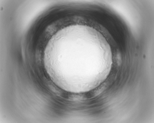 X0000088150765200705291422