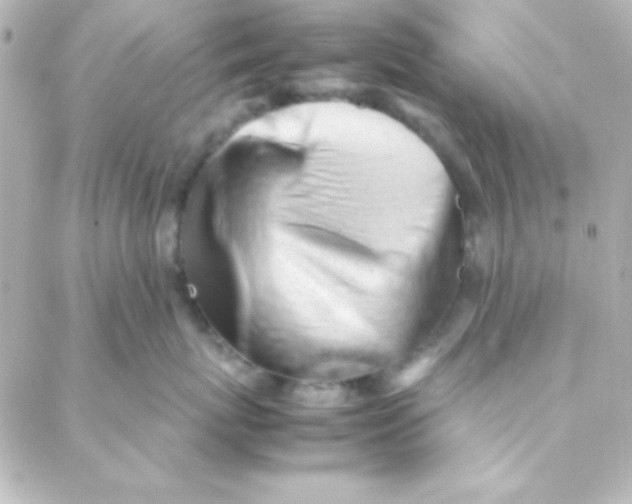 X0000088150767200705291422