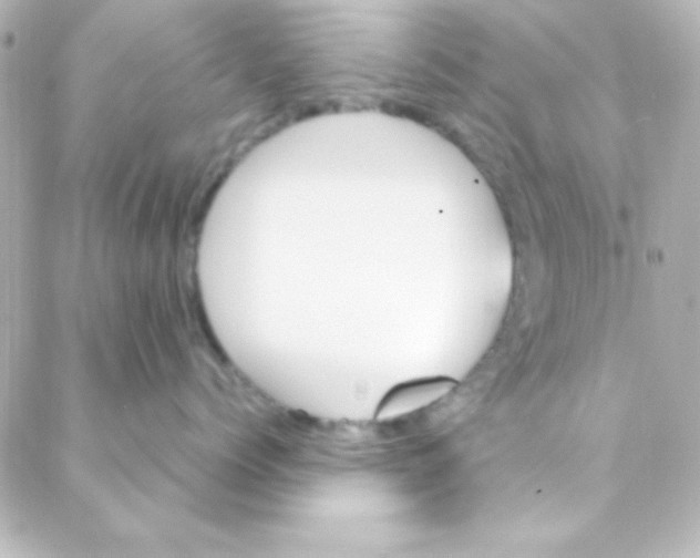 X0000088150768200705291422