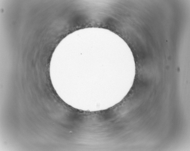 X0000088150769200705291422