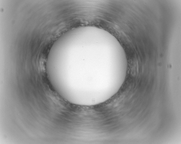 X0000088150770200705291422