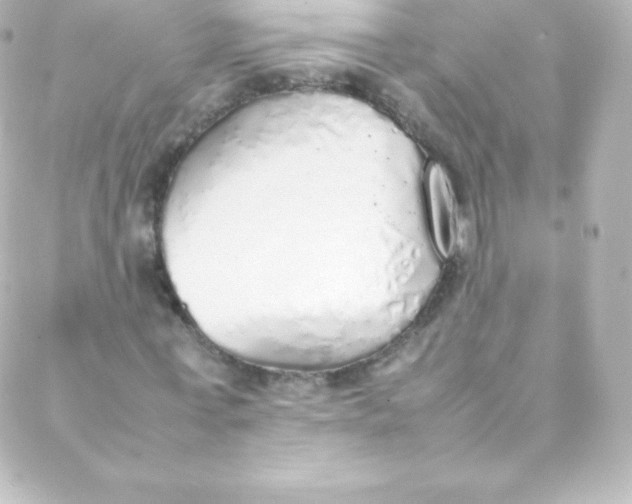 X0000088150771200705291422