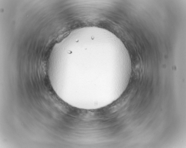 X0000088150772200705291422